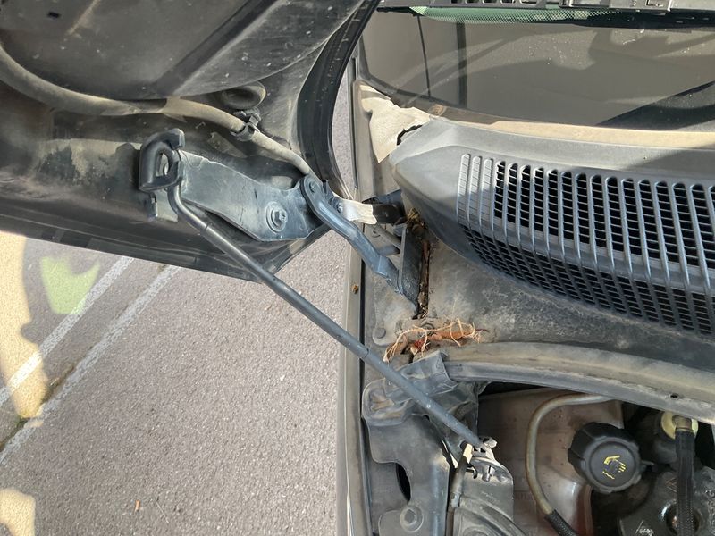 Renault Scenic 1.5 dCi Dynamique — zdjęcie 8