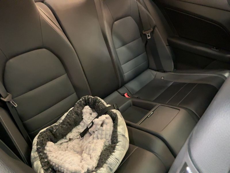 Mercedes-Benz E-Klasse E 350 CGI BlueEfficiency Elegance — zdjęcie 14