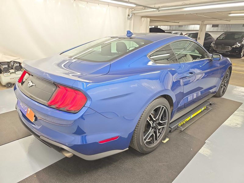 Ford Mustang 2.3 EcoBoost Fastback — zdjęcie 5